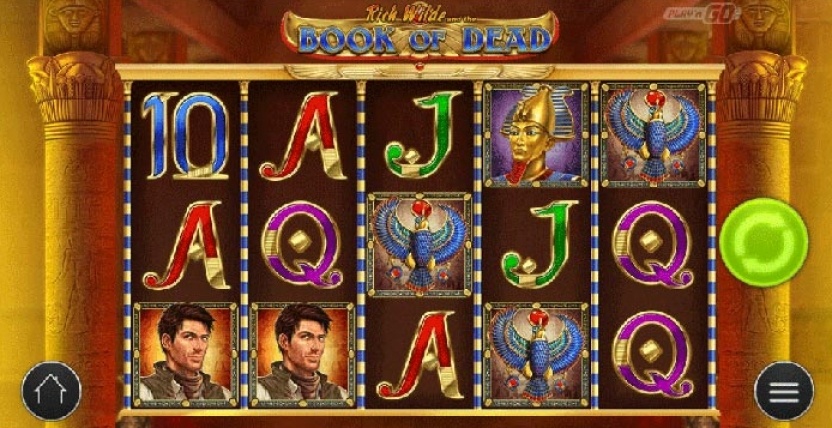 Free spiny na sloy book of the dead w casumo casino