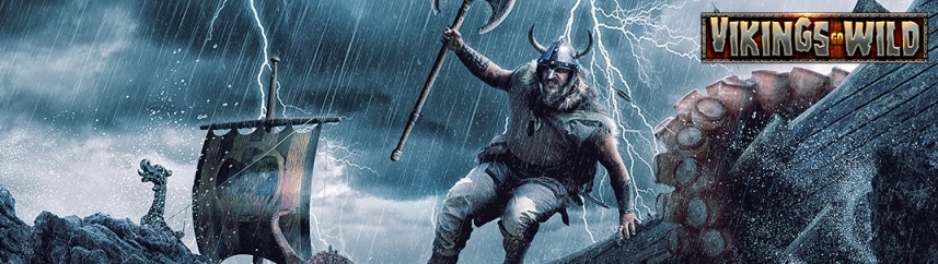 Turniej vikings go wild