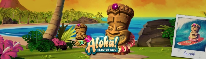 Wygrana na aloha cluster pays w royal panda 1